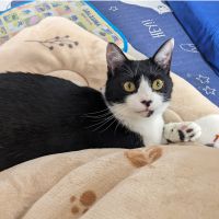 結城はじめさん