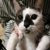 みィみ 会員画像