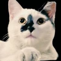 しろくろ㌠さん