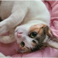 緑川1さん