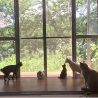 会員画像