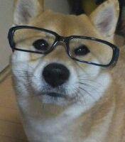 うり坊 会員画像