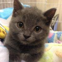 パンダさん 会員画像