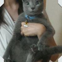 ミサトリサ 会員画像