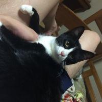 いっしょん 会員画像