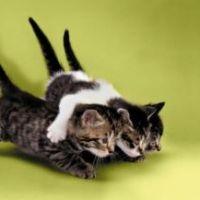 mimiちゃん 会員画像