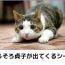 ユーザ画像