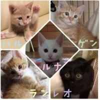 ユッコチャン 会員画像