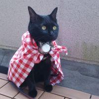 会員画像