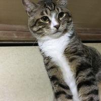 むーたんず 会員画像