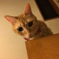 会員画像