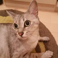 会員画像