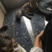 会員画像