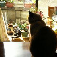 りっちむ 会員画像