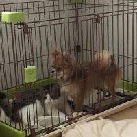 みこたろう 会員画像