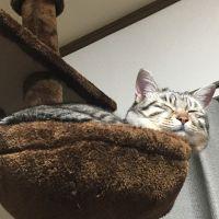 ぐんなも 会員画像