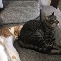 さわっち 会員画像