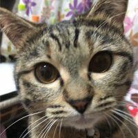 ふにゅん 会員画像