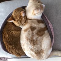 会員画像