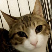 りゅう@ちよ 会員画像