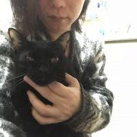 あめタロス 会員画像