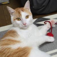 ka-ki107さん