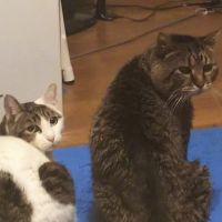 会員画像