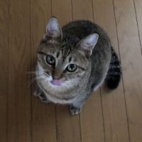 みも♡︎ʾʾさん