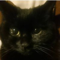 toto_96 会員画像