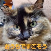 会員画像