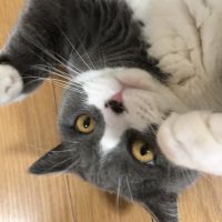 ラム0825 会員画像