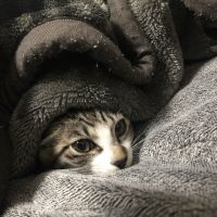 ききのすけまる 会員画像
