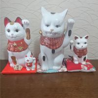 くますん 会員画像