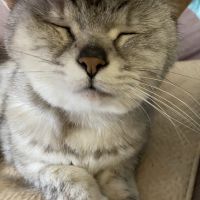 ひゅにん 会員画像
