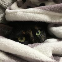 むむちゃこ 会員画像