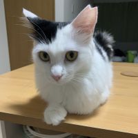 sachicoさん