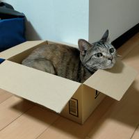 スプラシューター 会員画像