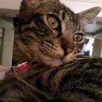 するめ 会員画像