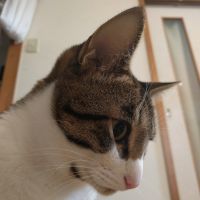 dogo2355 会員画像