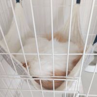 ことみ　さん