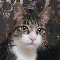 にっくさん 会員画像