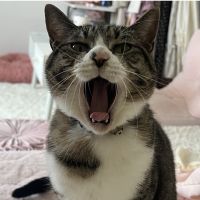 ちえねーさん