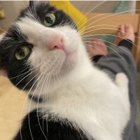 Ami_ d_cha 会員画像