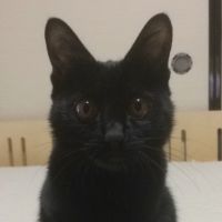 ジジ&ミライ&ノゾミ 会員画像