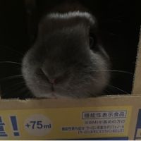 うーーーたぁん 会員画像