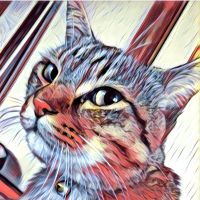 ゆめはなびびさん