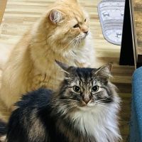 reeeeNさん