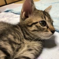 lucilleさん