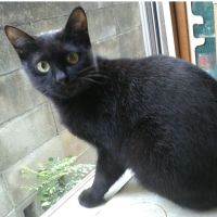 なかむらみかんさん