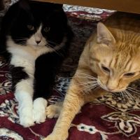 ソイミルクさん